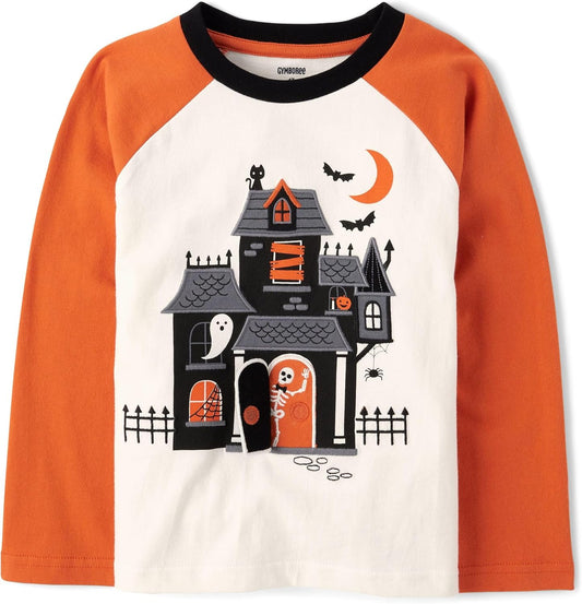 Gymboree Kids' and Toddler Embroidered Graphic Long Sleeve Raglan T-Shirts