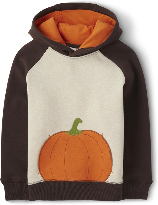 Gymboree Boys' and Toddler Long Sleeve Hoodie Sweatshirt