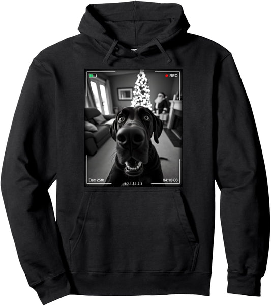Great Dane Catches Santa On Camera Xmas Pullover Hoodie
