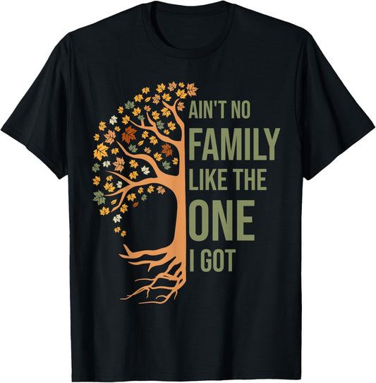 Ain't No Family Like The One I Got Funny Family Reunion 2024 T-Shirt
