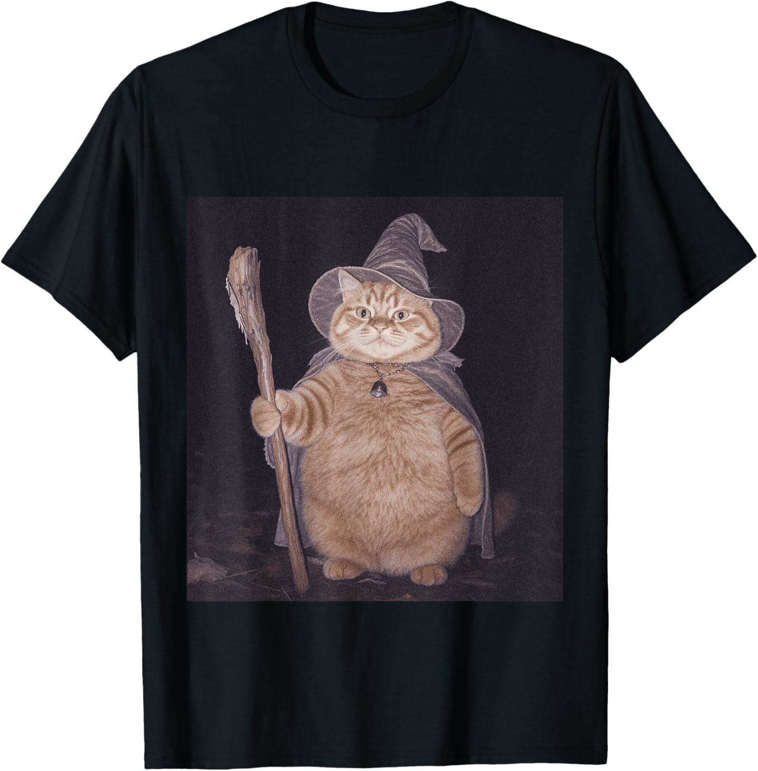 Halloween Cat Witch Weirdcore Wizard Cat Lover Spooky Season T-Shirt